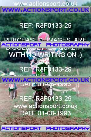 Photo: R8F0133-29 ActionSport Photography 01/08/1993 Norton Radstock SSC - Pylle _4_80s #22