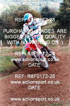 Photo: R8F0172-28 ActionSport Photography 29/08/1993 AMCA Stroud MCC - Horsley _2_Seniors250-500-Gp1