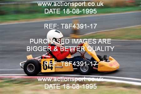 Photo: T8F4391-17 ActionSport Photography 18/08/1995 Ulster Kart Club Irish Kart Gran Prix - Nutts Corner  _3_Cadets #84