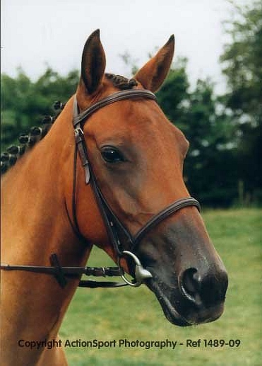 Sample image from 02/08/1996 SORCY Summer Camp Equestrian Event