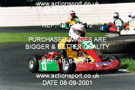 Photo: 19_6465-12 ActionSport Photography 08/09/2001 Inter Nations Kart Challenge - Llandow  _3_Cadets #13