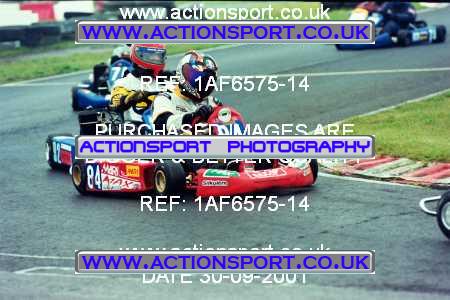 Photo: 1AF6575-14 ActionSport Photography 30/09/2001 NKRA Kart Finals - Fulbeck _1_Rotax #84
