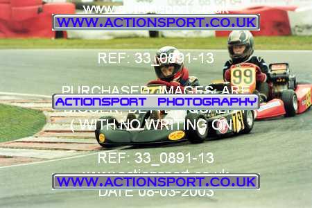 Photo: 33_0891-13 ActionSport Photography 08/03/2003 F6 Karting - Buckmore Park _5_F6Cadets #76