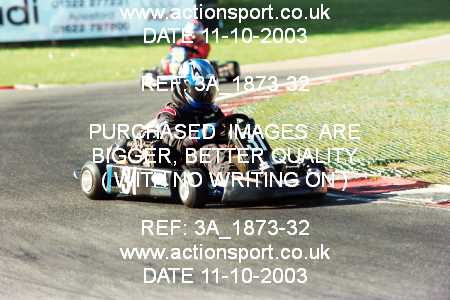 Photo: 3A_1873-32 ActionSport Photography 11/10/2003 F6 Karting - Buckmore Park _5_JuniorTKM_JuniorBiland #31