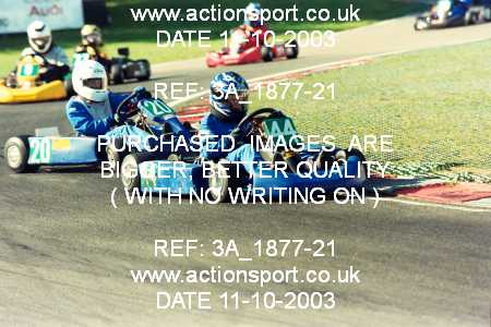 Photo: 3A_1877-21 ActionSport Photography 11/10/2003 F6 Karting - Buckmore Park _9_JuniorStandard #20