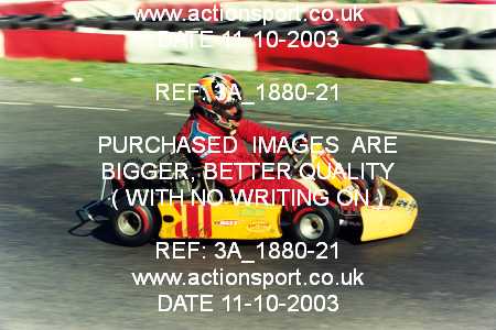 Photo: 3A_1880-21 ActionSport Photography 11/10/2003 F6 Karting - Buckmore Park _B_SeniorTKM_SeniorModified #11