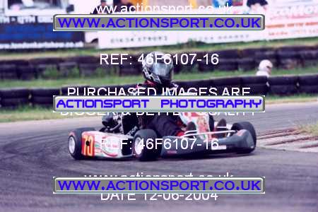 Photo: 46F6107-16 ActionSport Photography 12/06/2004 F6 Karting - Bayford Meadows _3_SeniorOpen_SeniorTKM4Stroke #70