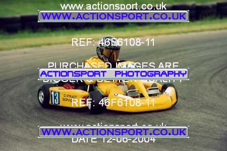 Photo: 46F6108-11 ActionSport Photography 12/06/2004 F6 Karting - Bayford Meadows _4_JuniorTwin_F6Junior #13