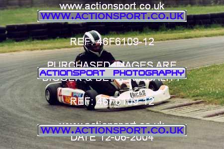 Photo: 46F6109-12 ActionSport Photography 12/06/2004 F6 Karting - Bayford Meadows _5_SeniorTwin #14