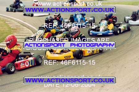 Photo: 46F6115-15 ActionSport Photography 12/06/2004 F6 Karting - Bayford Meadows _8_JuniorTKM4Stroke #9990
