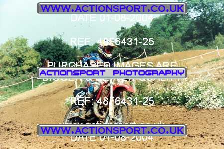 Photo: 48F6431-25 ActionSport Photography 01/08/2004 Severn Valley SSC All British - Brookthorpe _7_AMX #13
