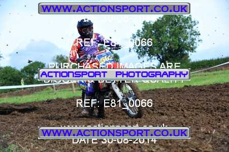 Photo: E81_0066 ActionSport Photography 30/08/2014 Thornbury MX Practice - Thornbury Motopark _2_Experts