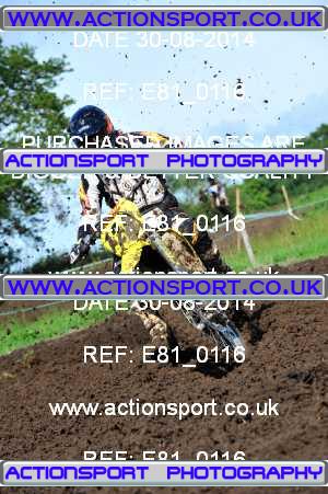 Photo: E81_0116 ActionSport Photography 30/08/2014 Thornbury MX Practice - Thornbury Motopark _2_Experts