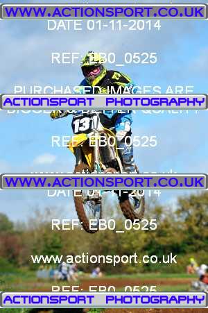 Photo: EB0_0525 ActionSport Photography 01/11/2014 Thornbury MX Practice - Westonbirt _1_Juniors
