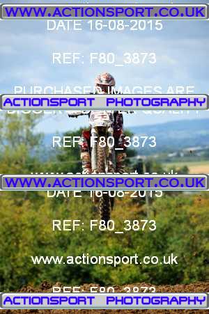 Photo: F80_3873 ActionSport Photography 16/08/2015 AMCA Cheltenham Spa SC - Brookthorpe  _6_MX1Juniors