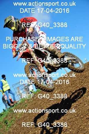Photo: G40_3388 ActionSport Photography 17/04/2016 AMCA Dursley MXC - Nympsfield  _2_MX2Experts #64