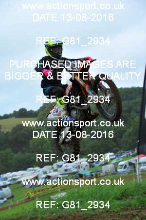 Photo: G81_2934 ActionSport Photography 13/08/2016 IOPD Acerbis Nationals - Farleigh Castle  _5_MX2 #24