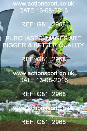 Photo: G81_2968 ActionSport Photography 13/08/2016 IOPD Acerbis Nationals - Farleigh Castle  _5_MX2 #2