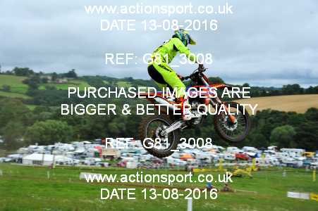 Photo: G81_3008 ActionSport Photography 13/08/2016 IOPD Acerbis Nationals - Farleigh Castle  _5_MX2 #2