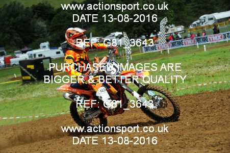 Photo: G81_3643 ActionSport Photography 13/08/2016 IOPD Acerbis Nationals - Farleigh Castle  _3_250cc-Ladies #31