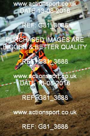 Photo: G81_3688 ActionSport Photography 13/08/2016 IOPD Acerbis Nationals - Farleigh Castle  _3_250cc-Ladies #31