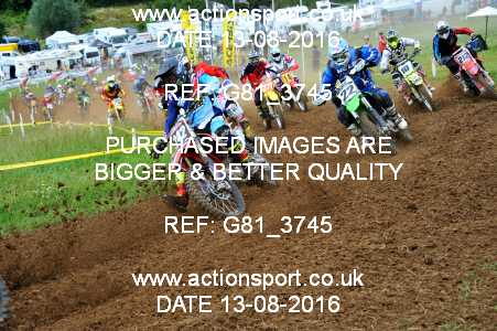 Photo: G81_3745 ActionSport Photography 13/08/2016 IOPD Acerbis Nationals - Farleigh Castle  _4_Vets #242