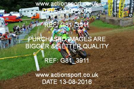 Photo: G81_3911 ActionSport Photography 13/08/2016 IOPD Acerbis Nationals - Farleigh Castle  _5_MX2 #274