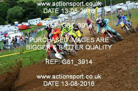 Photo: G81_3914 ActionSport Photography 13/08/2016 IOPD Acerbis Nationals - Farleigh Castle  _5_MX2 #2