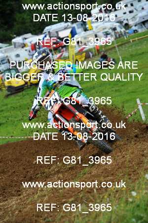 Photo: G81_3965 ActionSport Photography 13/08/2016 IOPD Acerbis Nationals - Farleigh Castle  _5_MX2 #274