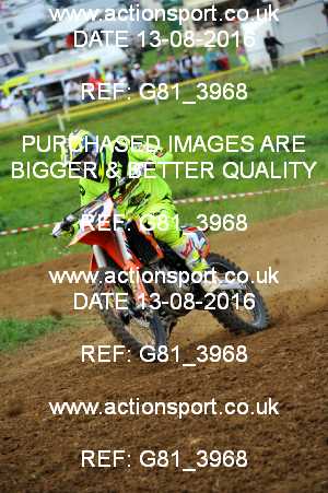 Photo: G81_3968 ActionSport Photography 13/08/2016 IOPD Acerbis Nationals - Farleigh Castle  _5_MX2 #2