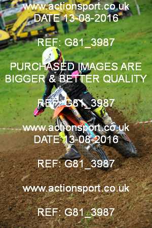 Photo: G81_3987 ActionSport Photography 13/08/2016 IOPD Acerbis Nationals - Farleigh Castle  _5_MX2 #24