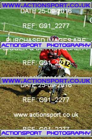 Photo: G91_2277 ActionSport Photography 25/09/2016 Dorset Classic Scramble Club - West Bourton  _3_TwinshockD #632