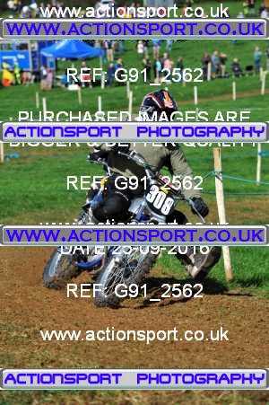 Photo: G91_2562 ActionSport Photography 25/09/2016 Dorset Classic Scramble Club - West Bourton  _5_Pre65Over350-Pre74Over250 #308