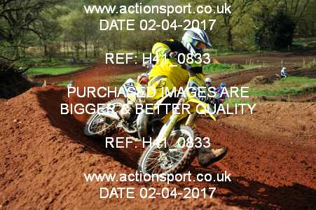 Photo: H41_0833 ActionSport Photography 02/04/2017 AMCA Warley MCC - Wolverley  _4_MX1Juniors #666