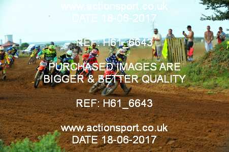 Photo: H61_6643 ActionSport Photography 18/06/2017 AMCA Faringdon MXC - Culham  R5_MX1Experts #9990