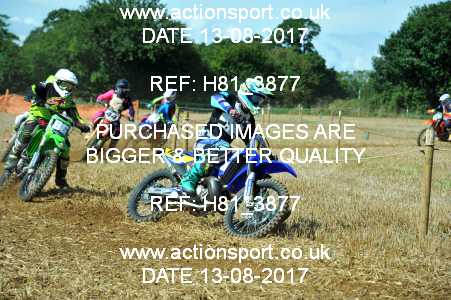 Photo: H81_3877 ActionSport Photography 13/08/2017 AMCA Bath AMCC - Farleigh Hungerford  _3_UnlimitedExperts #127