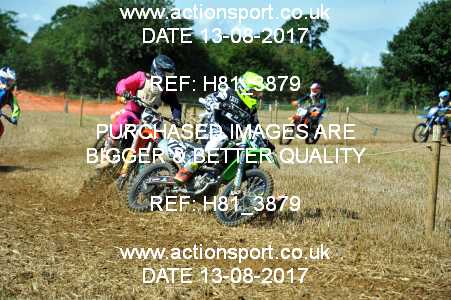 Photo: H81_3879 ActionSport Photography 13/08/2017 AMCA Bath AMCC - Farleigh Hungerford  _3_UnlimitedExperts #112