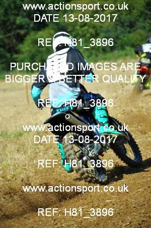 Photo: H81_3896 ActionSport Photography 13/08/2017 AMCA Bath AMCC - Farleigh Hungerford  _3_UnlimitedExperts #127