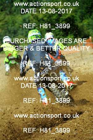 Photo: H81_3899 ActionSport Photography 13/08/2017 AMCA Bath AMCC - Farleigh Hungerford  _3_UnlimitedExperts #112