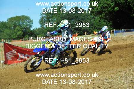 Photo: H81_3953 ActionSport Photography 13/08/2017 AMCA Bath AMCC - Farleigh Hungerford  _3_UnlimitedExperts #127