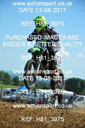 Photo: H81_3975 ActionSport Photography 13/08/2017 AMCA Bath AMCC - Farleigh Hungerford  _3_UnlimitedExperts #112
