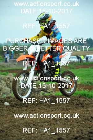 Photo: HA1_1557 ActionSport Photography 15/10/2017 MCF South Somerset MX - Grittenham _3_SmallWheels : Unidentified