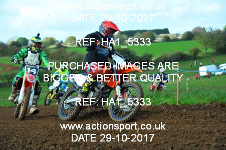 Photo: HA1_5333 ActionSport Photography 29/10/2017 Thornbury MX Practice - Minchinhampton 1200_Juniors_White : Unidentified