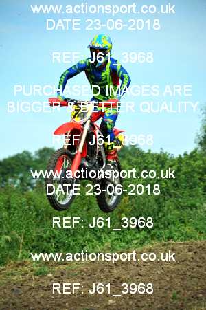 Photo: J61_3968 ActionSport Photography 23/06/2018 Thornbury MX Practice - Thornbury Moto Park 0930_Experts #74