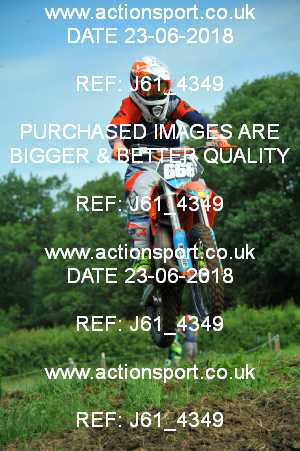 Photo: J61_4349 ActionSport Photography 23/06/2018 Thornbury MX Practice - Thornbury Moto Park 1010_65s-85s #666