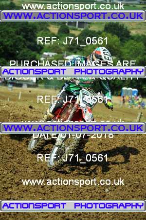 Photo: J71_0561 ActionSport Photography 01/07/2018 AMCA Cheltenham Spa SC [RAF Championship] - Brookthorpe  _4_RAFChampionships-OneDayLicences #166
