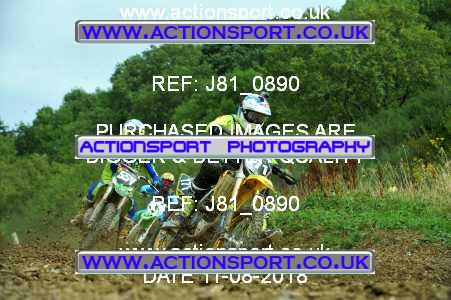Photo: J81_0890 ActionSport Photography 11/08/2018 AMCA Cheltenham Spa SC - Brookthorpe  _6_MX2Juniors #171
