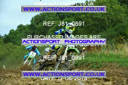 Photo: J81_0891 ActionSport Photography 11/08/2018 AMCA Cheltenham Spa SC - Brookthorpe  _6_MX2Juniors #554