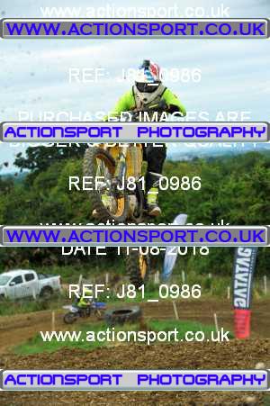 Photo: J81_0986 ActionSport Photography 11/08/2018 AMCA Cheltenham Spa SC - Brookthorpe  _6_MX2Juniors #171