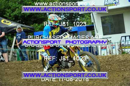 Photo: J81_1023 ActionSport Photography 11/08/2018 AMCA Cheltenham Spa SC - Brookthorpe  _6_MX2Juniors #274